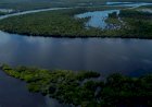 Experiência única: Turismo Sustentável no Amazonas