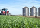 Exportação do agronegócio alcança recorde de US$ 38,1 bilhões no 1º trimestre
