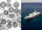 Vírus que matou três em navio tem origem na América do Sul