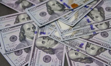 Caged afeta Ibovespa, mas não impede novo recorde; dólar fecha em alta