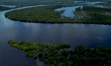 Experiência única: Turismo Sustentável no Amazonas