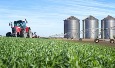 Exportação do agronegócio alcança recorde de US$ 38,1 bilhões no 1º trimestre