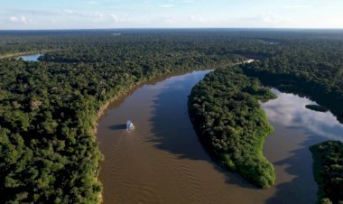 Desmatamento na Amazônia recua 17,4% em 2025 e atinge menor nível da série do Inpe