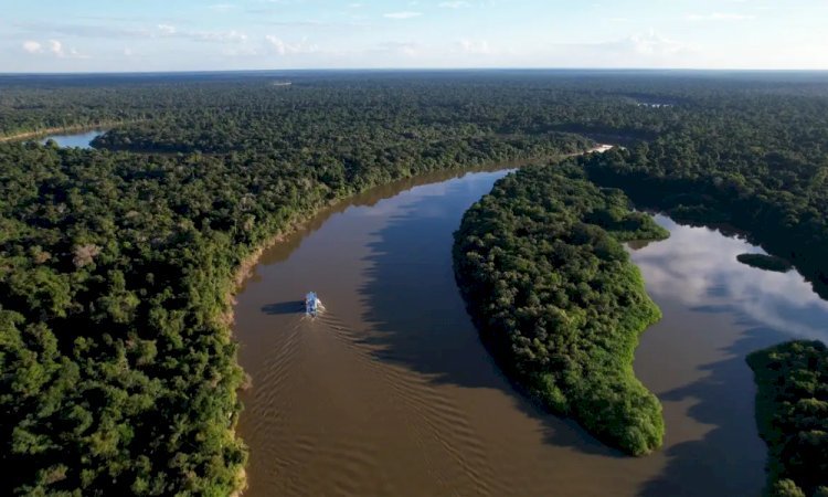Desmatamento na Amazônia recua 17,4% em 2025 e atinge menor nível da série do Inpe